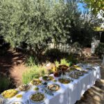 581313441_17981645453915039_7022544323959364970_n