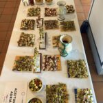 581361899_2009700916461701_6053214903194387171_n